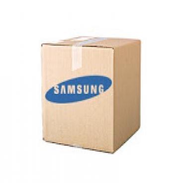 Samsung Part# 04-13-608 Fuse (OEM)