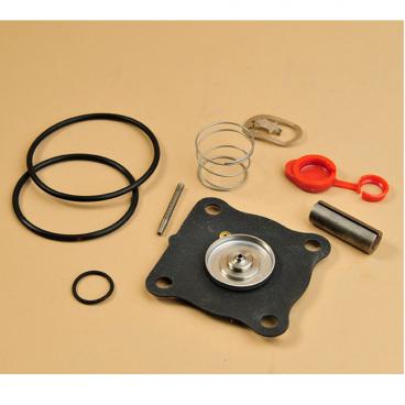 Asco Part# 160-130 Valve Repair Kit (OEM)