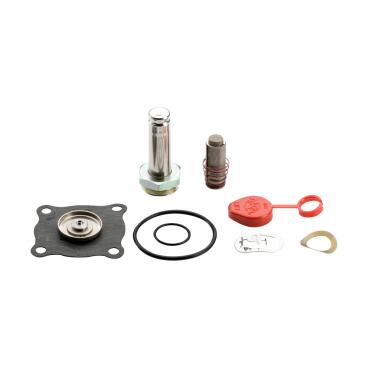 Asco Part# 162-281 Asco Repair Kit (OEM)