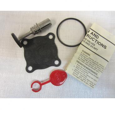 Asco Part# 164-660 Asco Repair Kit (OEM)