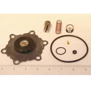 Asco Part# 172-828 Asco Repair Kit (OEM)