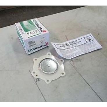 Asco Part# 200-261 Asco Repair Kit (OEM)