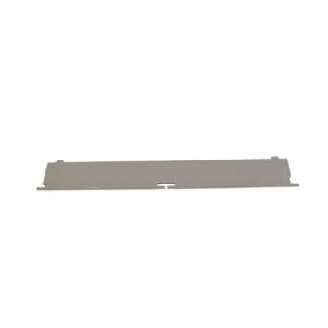 Samsung DV42H5000EW/A3 Filter Cover - Genuine OEM