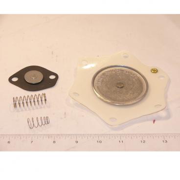 Asco Part# 276-886 Asco Repair Kit (OEM)