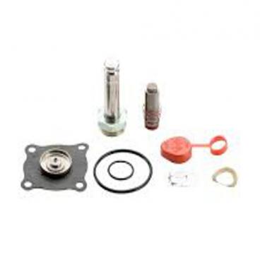 Asco Part# 302-055-V Repair Kit-Viton (OEM)