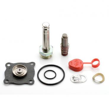 Asco Part# 302-142-MO Asco Repair Kit (OEM)