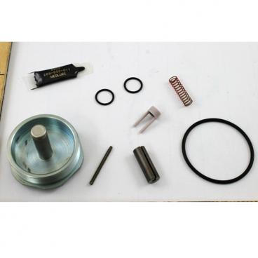 Asco Part# 302-179 Rebuild Kit (OEM)