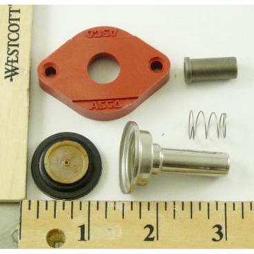 Asco Part# 302-270 Repair Kit (OEM)