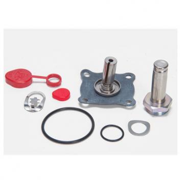 Asco Part# 302-272-N Repair Kit(OEM)