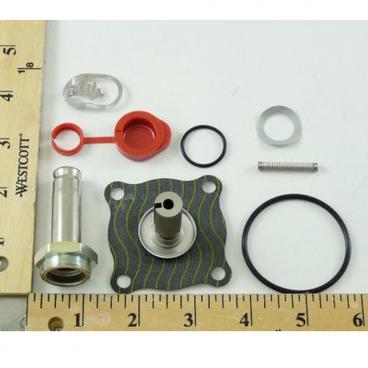 Asco Part# 302-272 Repair Kit (OEM)