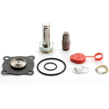 Asco Part# 302-273-E Rebuild Kit (OEM)