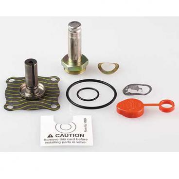 Asco Part# 302-273-V Asco Repair Kit (OEM)