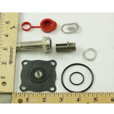 Asco Part# 302-274-MO Asco Repair Kit (OEM)