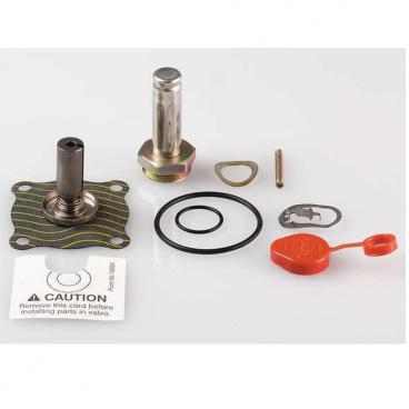 Asco Part# 302-276-J Asco Repair Kit (OEM)