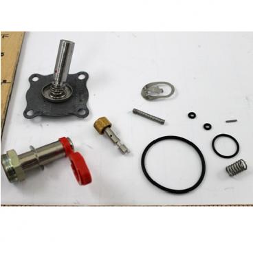 Asco Part# 302-276-MO Asco Repair Kit (OEM)