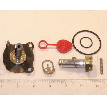 Asco Part# 302-276-V Repair Kit (OEM)