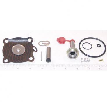 Asco Part# 302-279-V Repair Kit (OEM)