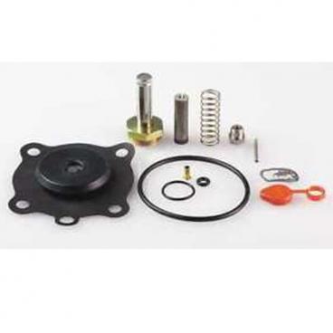 Asco Part# 302-280-E Repair Kit (OEM)