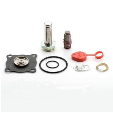 Asco Part# 302-280-MO Repair Kit (OEM)