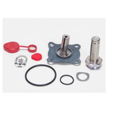 Asco Part# 302-283-E Asco Repair Kit (OEM)