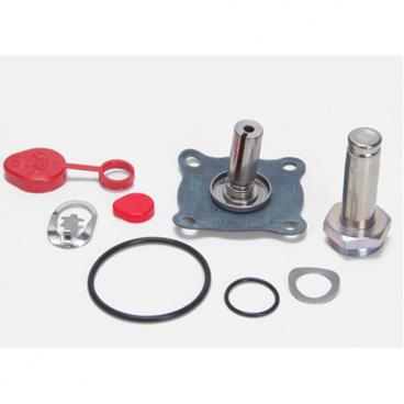 Asco Part# 302-283-N Repair Kit (OEM)