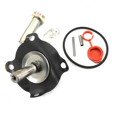 Asco Part# 302-283-V Repair Kit (OEM)