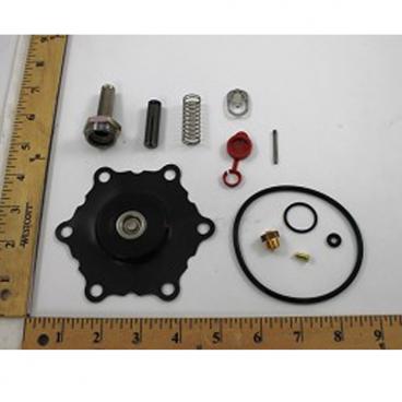 Asco Part# 302-284-E Rebuild Kit (OEM)