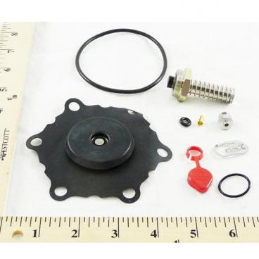 Asco Part# 302-284-MO Asco Repair Kit (OEM)