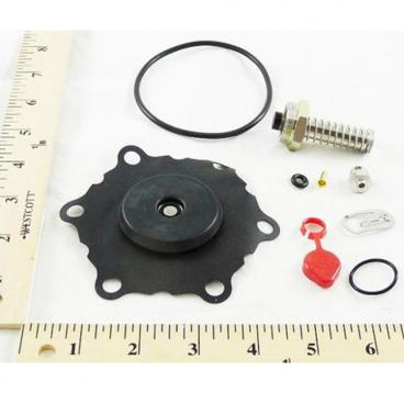 Asco Part# 302-284 Repair Kit (OEM)