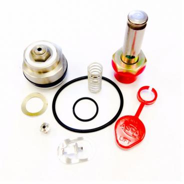 Asco Part# 302-323 Rebuild Kit (OEM)