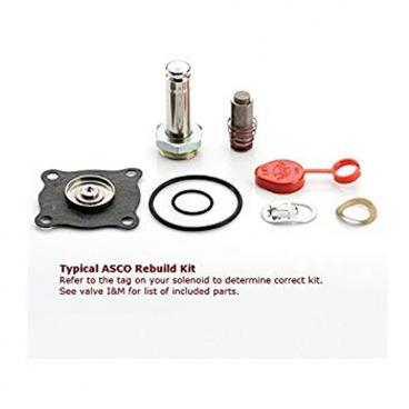 Asco Part# 302-326 Rebuild Kit (OEM)