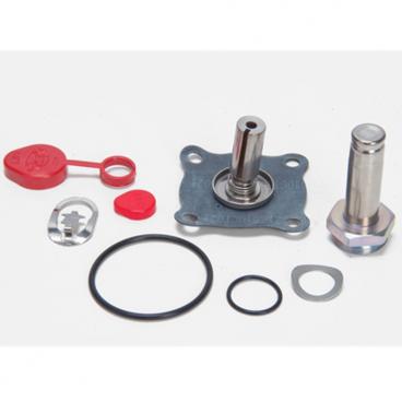 Asco Part# 302-334 Rebuild Kit (OEM)