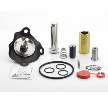 Asco Part# 302-337-V Repair Kit (OEM)