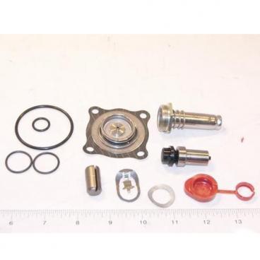 Asco Part# 302-347-E Repair Kit (OEM)