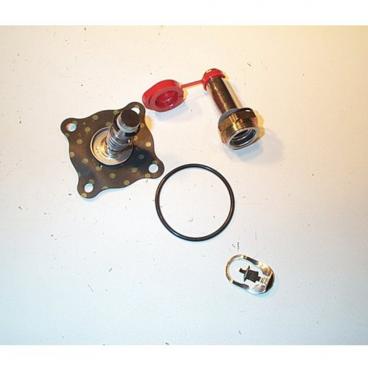 Asco Part# 302-349 Repair Kit (OEM)