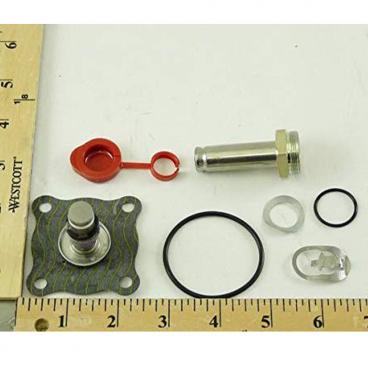 Asco Part# 302-350-V Asco Repair Kit (OEM)