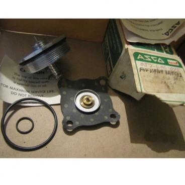 Asco Part# 302-355 Asco Repair Kit (OEM)