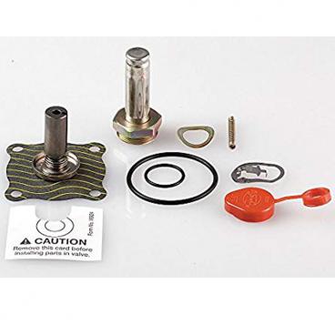 Asco Part# 302-372 Repair Kit (OEM)