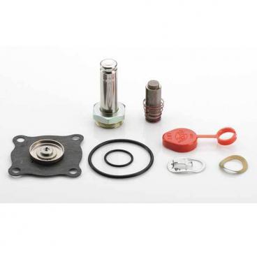 Asco Part# 302-376-V Repair Kit (OEM)