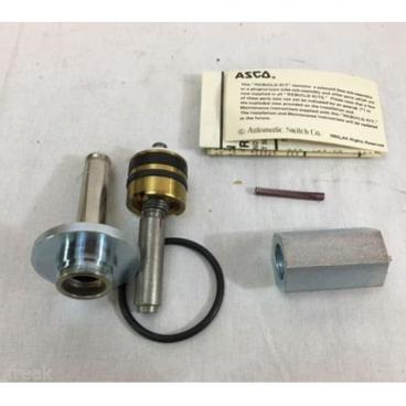 Asco Part# 302-377 Asco Repair Kit (OEM)