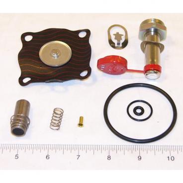 Asco Part# 302-378-V Asco Repair Kit (OEM)