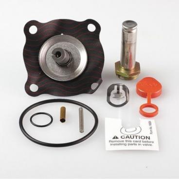 Asco Part# 302-381-V Asco Repair Kit (OEM)