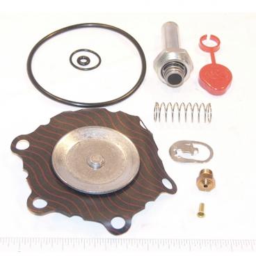 Asco Part# 302-382 Asco Repair Kit (OEM)