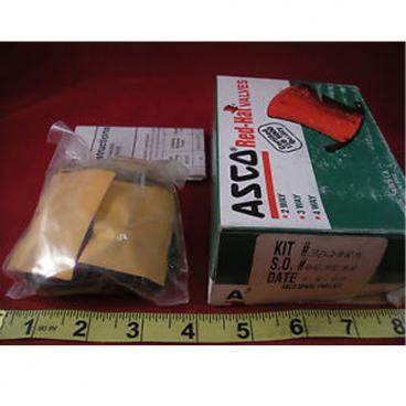 Asco Part# 302-383-E Asco Repair Kit (OEM)