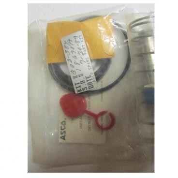 Asco Part# 302-384 Asco Repair Kit (OEM)