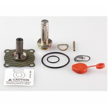 Asco Part# 302-423-E Repair Kit (OEM)