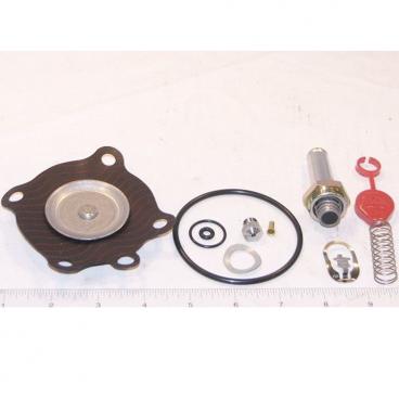 Asco Part# 302-657 Repair Kit (OEM)