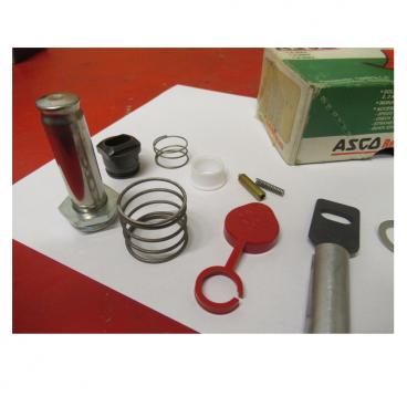 Asco Part# 302-836 Rebuild Kit (OEM)