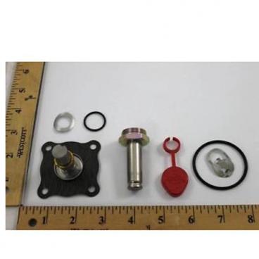 Asco Part# 304-089 Asco Repair Kit (OEM)