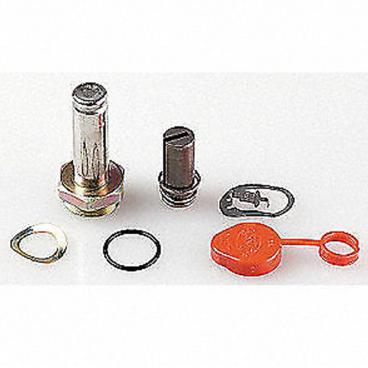 Asco Part# 304-350 Rebuild Kit (OEM)